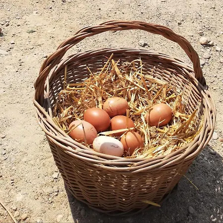 Bed & Breakfast Somnis De L'emporda Vilacolum