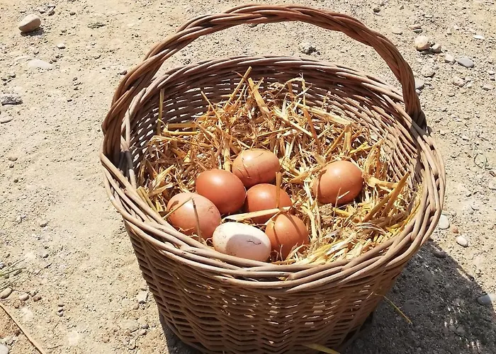 Bed & Breakfast Somnis De L'emporda Vilacolum